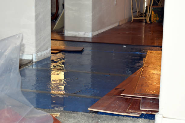 Professional Burst Pipe Cleanup technician working in Oak Hill, NY